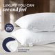 thumbnail image 2 of Juego de 2 almohadas de cama Beckham Hotel Collection Queen Size, 2 of 3