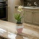 thumbnail image 3 of Planta Artificial Orquidea Blanca Macetero De Ceramica, 3 of 6