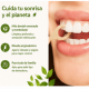 thumbnail image 3 of Hilo Dental Encerado Con Menta 50 Unidades Dentwell, 3 of 5