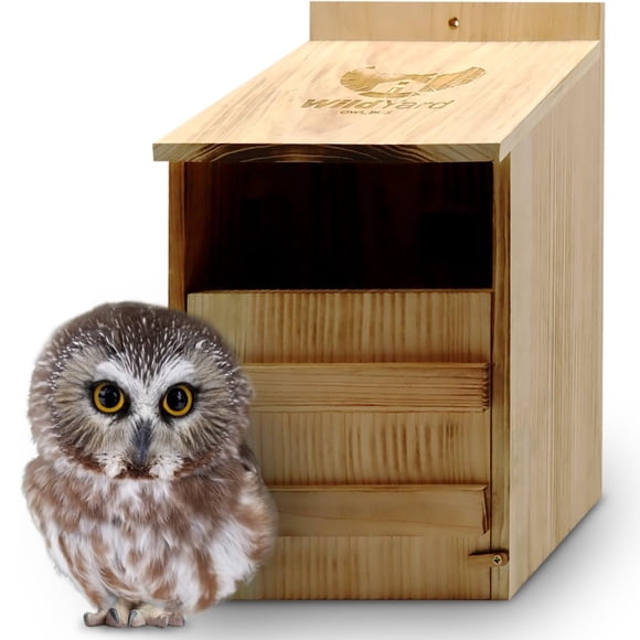 Caja nido WildYard, cedro, búho común, madera de cedro, fácil de limpiar