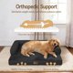 thumbnail image 2 of Cama ortopédica lavable Comfort Expression XL para perros extra grandes, 2 of 7