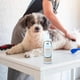 thumbnail image 3 of Acondicionador Groomer Essentials Avena 473 ml, 3 of 8
