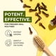 thumbnail image 3 of Aceite Esencial de Clavo Gya Labs 10ml, 3 of 7