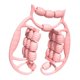 thumbnail image 1 of Rodillo Muscular De Mano Para Piernas, Herramienta De Masaje Con 24 Ruedas Para Cintura, Color Rosa, 1 of 5