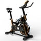 thumbnail image 1 of Spinning Ten Series X2000, 1 of 6