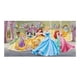 thumbnail image 1 of Pancarta de Fondo Temático Princesas Disney Desmarcar 150x90cm, 1 of 6