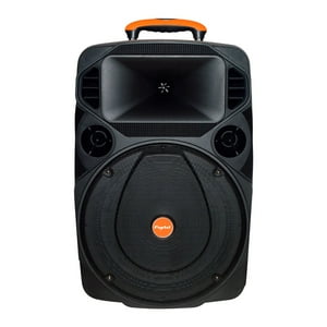 Fujitel - Amplificador Karaoke 15 L Bt