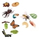 thumbnail image 2 of Juguete De Aprendizaje De Educación Infantil De Crecimiento De Insectos De Naturaleza Realista, 2 of 5