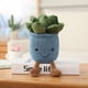 thumbnail image 1 of 9inch Creative Succulent Plant Decoration, For Garden Green Lovers Cute Succulent Sleep Seat Cushion Home Decoration, 1 of 4