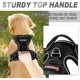 thumbnail image 3 of Arnés para perro BARKBAY antitirones con clips frontal y trasero, 3 of 3