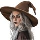 thumbnail image 1 of Sombrero de bruja Wizard Hat Gagift World para adultos y adolescentes, 46 cm, 1 of 7