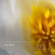 thumbnail image 5 of Perfume Future Society Floating Forest Eau de Parfum, 9,5 ml, 5 of 7