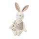 thumbnail image 1 of Conejo Portátil Peluches Juguete Duradero Comodidad Lavable Bebés, 1 of 5