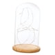 thumbnail image 4 of Funciona con pilas luces de cristal lámpara de mesa cloche luces de hadas artesanías, 4 of 5