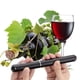 thumbnail image 2 of Abridor De Vino Con Cortador De Lámina Bomba De Aire Abridor De Botellas De Vino Destornillador Portátil Portátil De Viaje De Vino Para Amantes Del Vino, 2 of 3