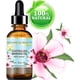thumbnail image 2 of Aceite portador Botanical Beauty Aceite de manuka, 15 ml, 100% natural, 2 of 8