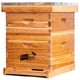 thumbnail image 1 of Kit de inicio de colmenas para abejas MayBee de 10 marcos con suministros, 1 of 7