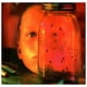 thumbnail image 1 of Alice In Chains - Jar Of Flies | Cd, 1 of 10