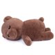 thumbnail image 1 of Bonito oso de peluche Tezituor con forma de koala, 50 cm, color marrón, 1 of 7