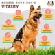 thumbnail image 4 of Suplemento de aceite de pescado Natural Dog Company Ultra Omega 3 473 ml, 4 of 8