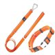thumbnail image 1 of Correa y collar para perro Pet Life ® Serie Outdoor 'Advent', 1 of 8