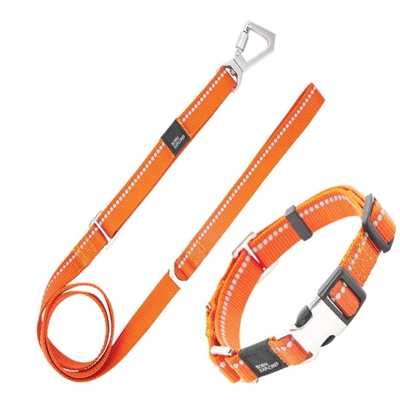 Correa y collar para perro Pet Life ® Serie Outdoor 'Advent'