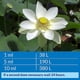 thumbnail image 2 of Clarificador de agua API POND ACCU-CLEAR Botella de 1,89 litros, 2 of 5