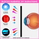 thumbnail image 4 of Gafas de bronceado Super Sunnies Evo, protección ocular UV flexible, 4 of 7