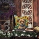 thumbnail image 5 of Cojín Sunflowers Border Terrier, 5 of 6