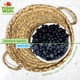 thumbnail image 4 of Wash para frutas y verduras Veggie Wash, 473 ml, paquete de 3, 4 of 5