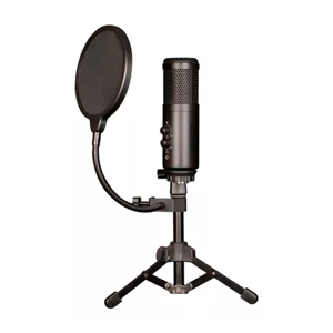 Genérico - Microfono Condensador Unidireccional Telefono Computadora Color Negro Chanmi Cmr-1