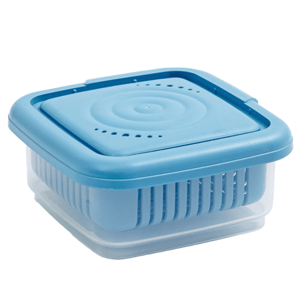 Contenedores, cajas para bayas que mantienen las frutas frescas Produce Saver Food