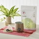thumbnail image 5 of Té Kukicha SUGIMOTO TEA Bolsitas de Té Verde de Tallos 20 unidades, 5 of 8