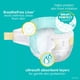 thumbnail image 5 of Pañales Pampers Swaddlers Talla 5, 144 unidades, 5 of 5