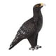 thumbnail image 5 of Animal águila Modelo Realista Vida Silvestre Modelo Figura Decoración Del Hogar Para La Colección, 5 of 5