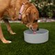 thumbnail image 2 of Cuencos para mascotas Loving Pets Dolce Bamboo, ecológicos, grandes, 2 of 3