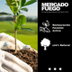 thumbnail image 3 of Carbón Quebracho Blanco Sin Chispa Premium 15 Kg., 3 of 4