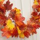 thumbnail image 3 of Guirnalda de otoño TURNMEON, paquete de 2 guirnaldas con hojas de otoño de 3,6 m, 3 of 6