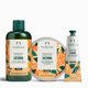 thumbnail image 2 of Gel de ducha The Body Shop Satsuma 250 ml, 2 of 2