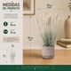 thumbnail image 5 of Set 2 Plantas Artificiales Flores Lavanda Decoracion Hogar blanco, 5 of 8