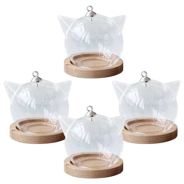 Mini Cúpula de Cristal de 4 Piezas, Tarros de Plantas Y Flores con Tapa, Cúpulas de Cristal Decorativas para Decoración de Mesa de Fiesta , Base de madera de gato