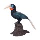 thumbnail image 2 of Figura De Pájaro Modelo, Juguete Educativo, Escritorio, Oficina, Estatua Realista De Pájaro, Cálao Negro, 2 of 5