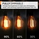 thumbnail image 3 of Bombillas Hudson Bulb Co. Edison incandescente vintage de 60 W, 3 of 9
