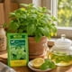 thumbnail image 3 of Semillas de Melisa Brisol para Huerta e Infusiones, 3 of 5