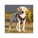 thumbnail image 5 of Arnés Reflectante Antitirones Antiasfixia Para Perro Talla S purpura, 5 of 11