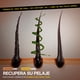 thumbnail image 3 of Acondicionador Aceite Esencial, 3 of 3