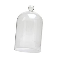 Bothyi - Cubierta De Cristal De Flores Preservadas Elegante Para Navidad, Salón, Aniversarios M