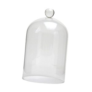 Bothyi - Cubierta De Cristal De Flores Preservadas Elegante Para Navidad, Salón, Aniversarios M