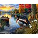 thumbnail image 1 of Rompecabezas Springbok Mallard Morning Glow de 1000 piezas, 1 of 9