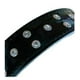 thumbnail image 2 of Collar Para Perros O Gatos Brillo Negro L, 2 of 3